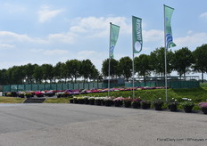 Danziger laat dit jaar haar soorten zien bij Imperial Plants.